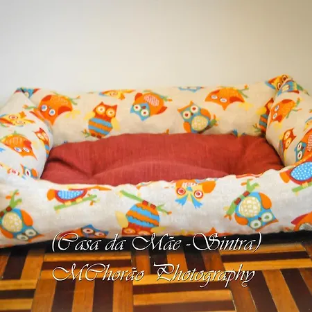 Appartement Casa Da Mae *